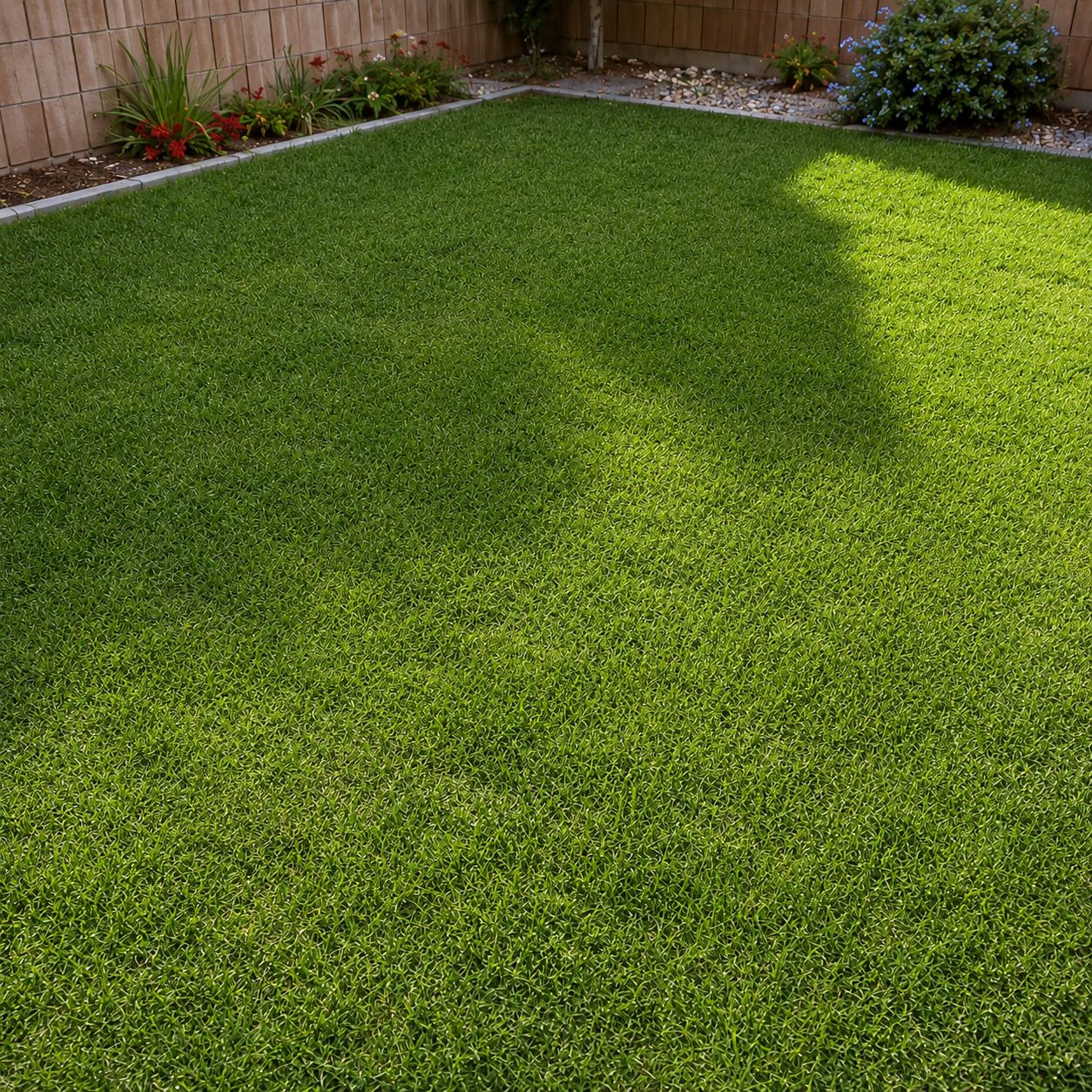 Same residential backyard after pet waste cleanup